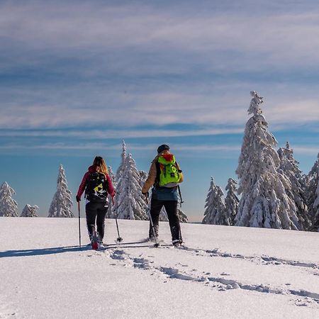 Schwarzwaldhorst Fewo 2 - Mit 4 Schlafzimmer - Todtnau, Liftverbund Feldberg Zewnętrze zdjęcie