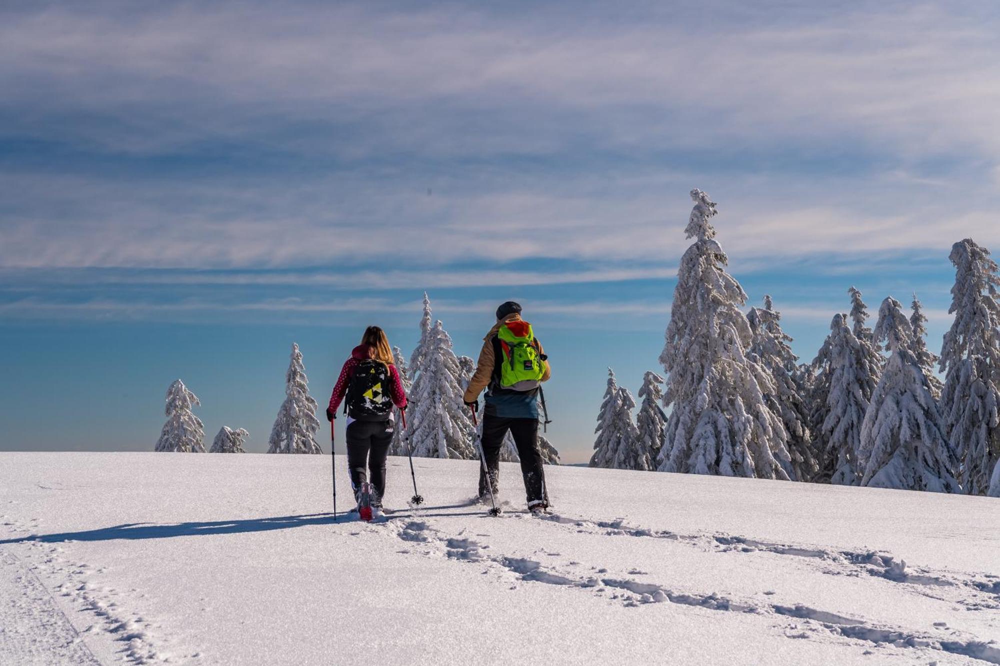 Schwarzwaldhorst Fewo 2 - Mit 4 Schlafzimmer - Todtnau, Liftverbund Feldberg Zewnętrze zdjęcie